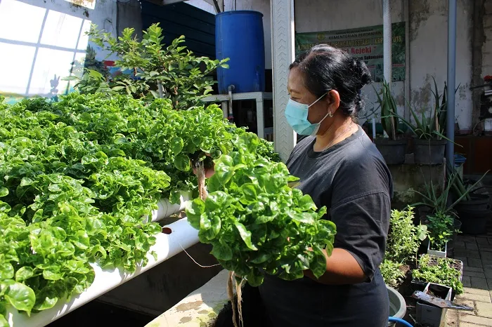 Hasilkan Sumber Pangan Mandiri di Tengah Pandemi