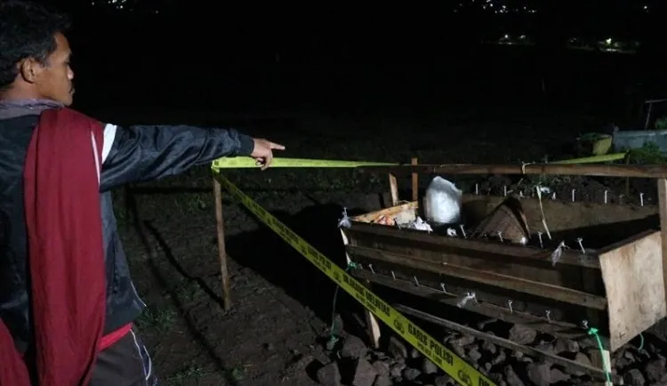 Granat Berjenis Nanas di Temukan di Pekarangan Rumah
