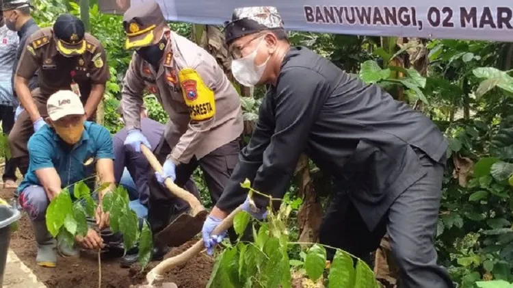 Banyuwangi Canangkan Tanam 1000 Pohon Antisipasi Bencana Alam