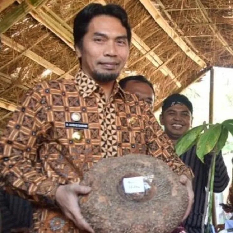 Kementan Tetapkan Madiun Penghasil Porang Kualitas Unggul