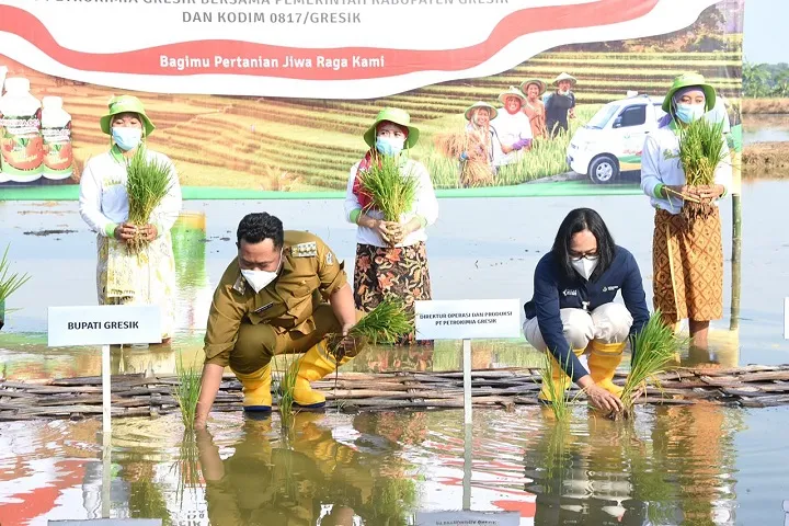 Petrokimia Gelar Program Demplot Dambaan di 21 Lahan di Gresik