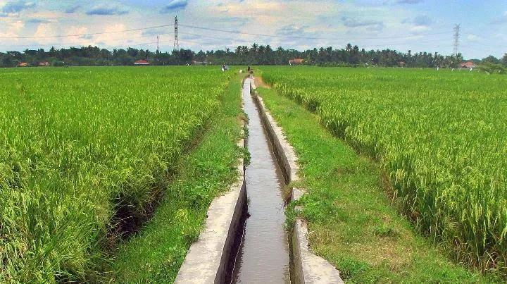 Tingkatkan Produktivitas, Warga Jatim Ingin Perluasan RJIT