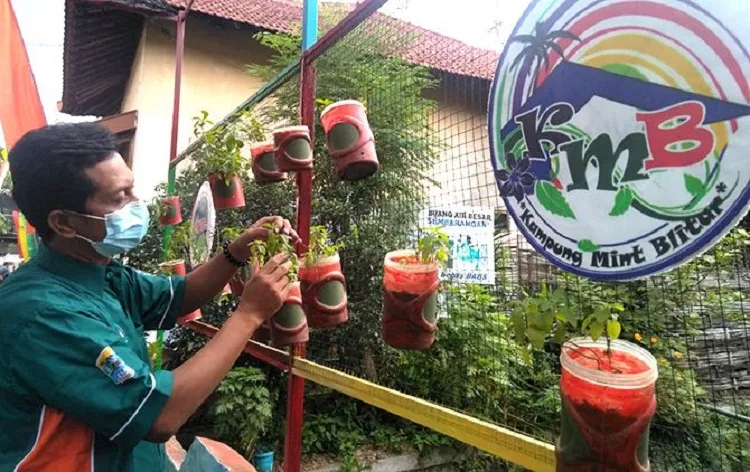 Eksis Edukasikan Tanaman Mint Sebagai Obat dan Ikon Blitar