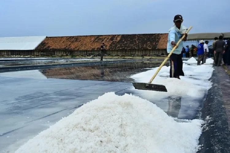 1,8 Juta Ton Garam Lokal Mubazir Gegara Importasi Garam 3 Juta Ton
