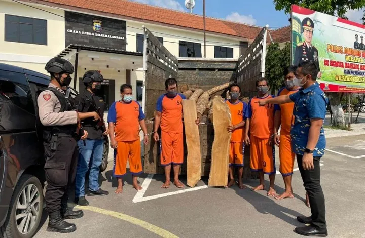 Curi Kayu Jati, 7 Orang Ditangkap 1 Buron