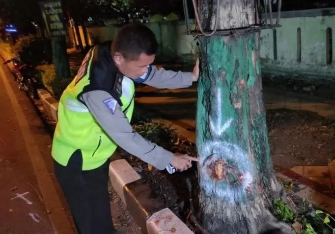 Tabrak Pohon, Pengendara Motor Tewas
