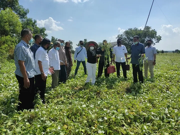 Tanpa APBD, P3UEK Sumut Study Banding ke Surabaya dan Lamongan