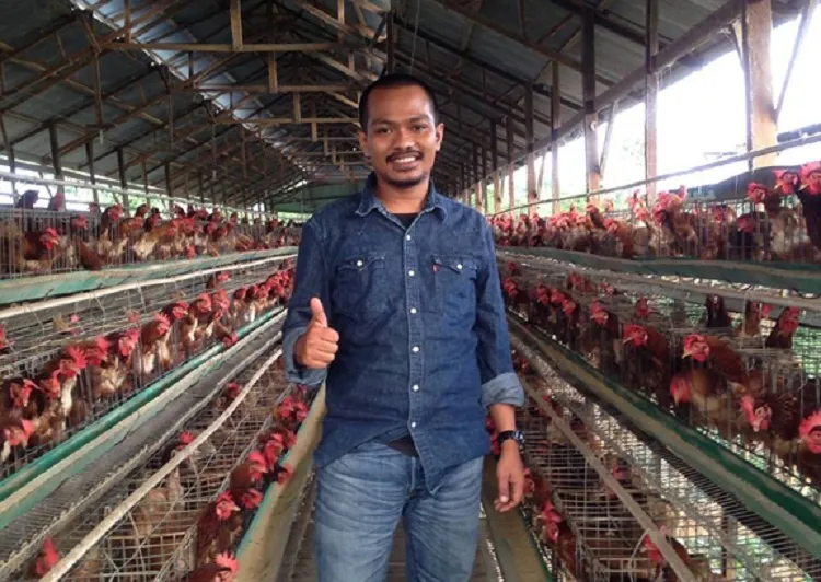 Usaha Depot Telur Anggrek yang Beromzet Jutaan per Bulan