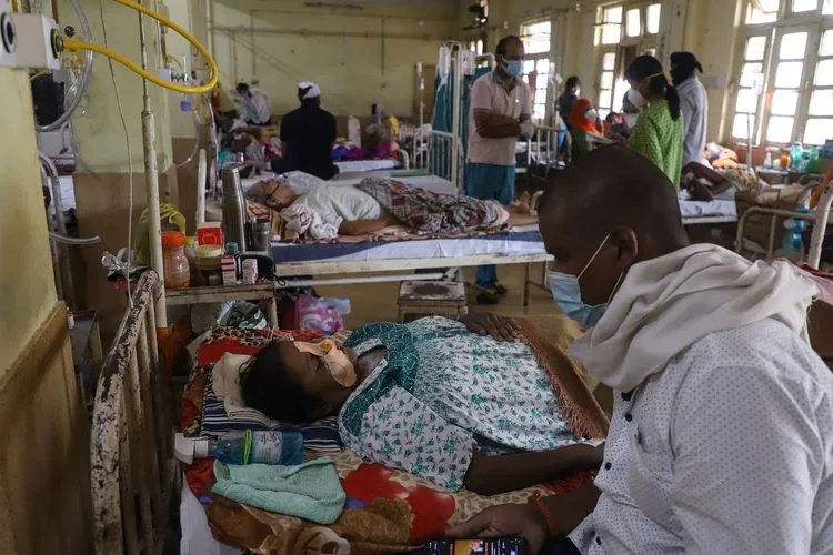Usai Covid-19, India Dihantam Penyakit Jamur Mematikan dan Langka