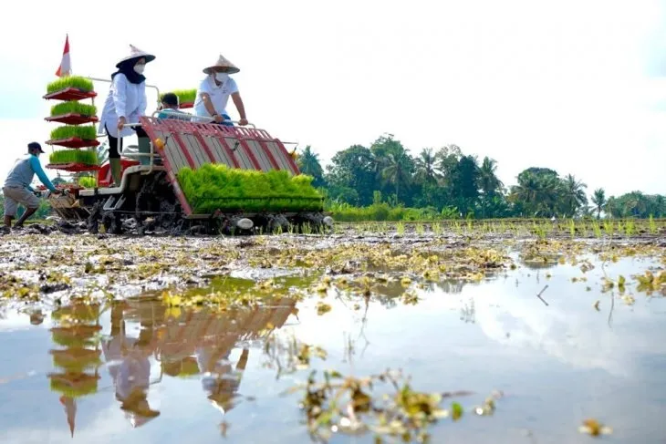 Pemkab Banyuwangi Tanam Perdana Metode Agro Solution