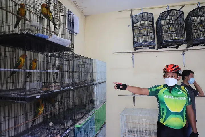Sebelum Ngantor, Cak Ji Gowes Sambil Blusukan ke Pasar Burung Bratang