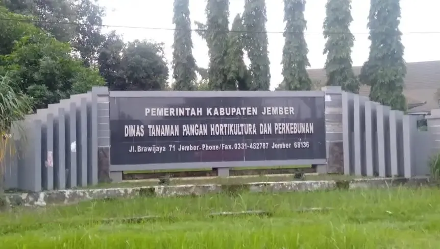 Dispertan KP Siapkan Program Lain Penangkaran Bibit Tembakau