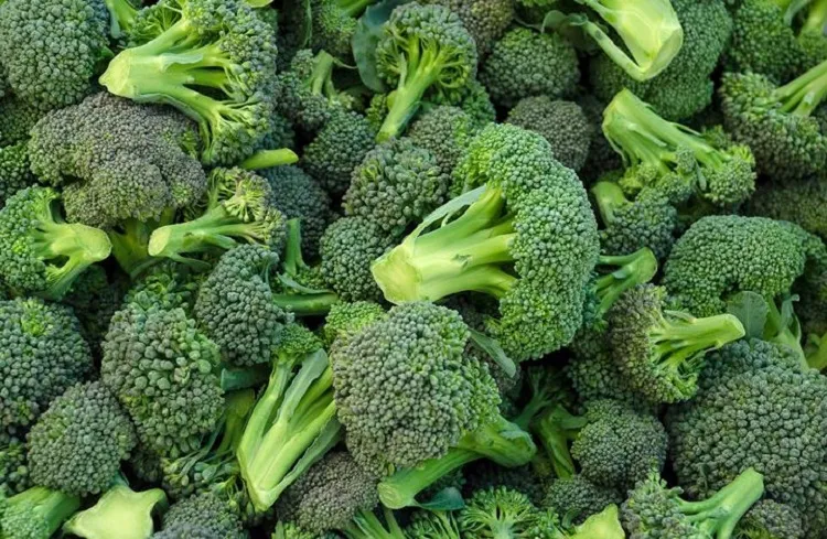 Tinggi Magnesium, Mampu Tingkatkan Daya Ingat dan Intelegensia
