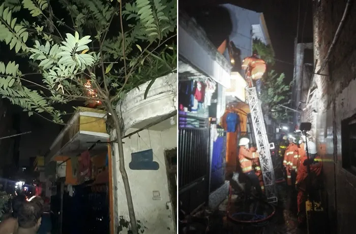Si Jago Merah Lahap Satu Rumah, 3 Anggota Keluarga Luka Serius