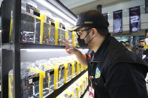 Kediri Betta Kontes Raih 2 Rekor Muri
