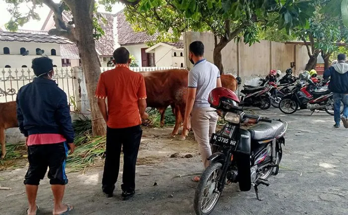 2 Maling Hewan dan Penadah Diamankan Polisi