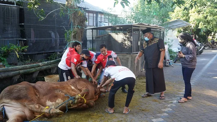 Pasutri Rahmat Muhajirin Qurban 7 Ekor Sapi untuk Warga 7 Desa