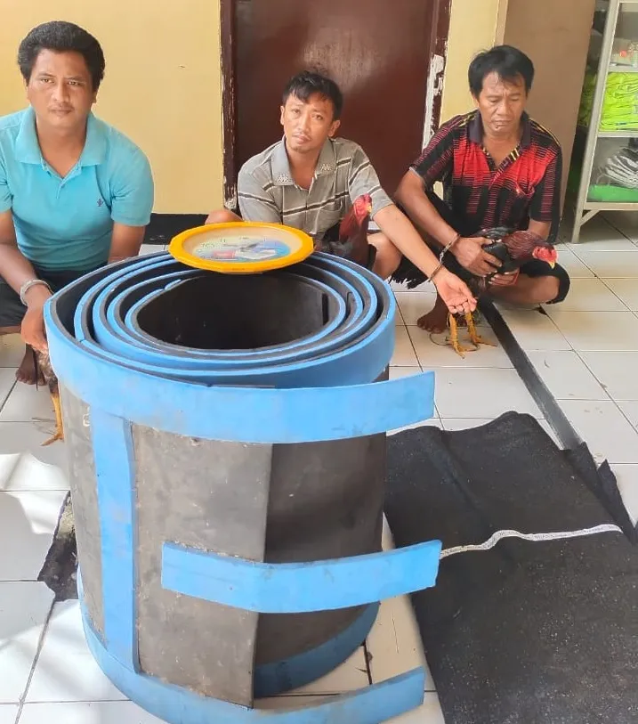 Asik Judi Ayam Sabung, 3 Pelaku Diamankan Polsek Kenjeran
