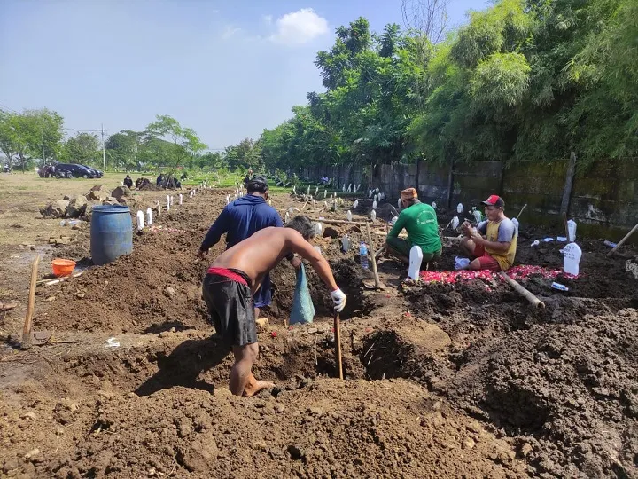 Insentif 5 Penggali Makam Covid-19 di Sidoarjo Rp 1,2 Segera Cair, Besaran Insentif akan Ditinjau Ulang