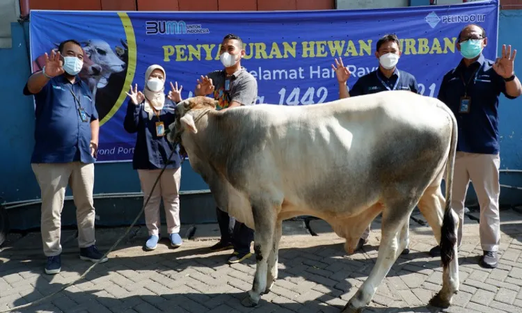Idul Adha, Pelindo III Salurkan 272 Hewan Kurban