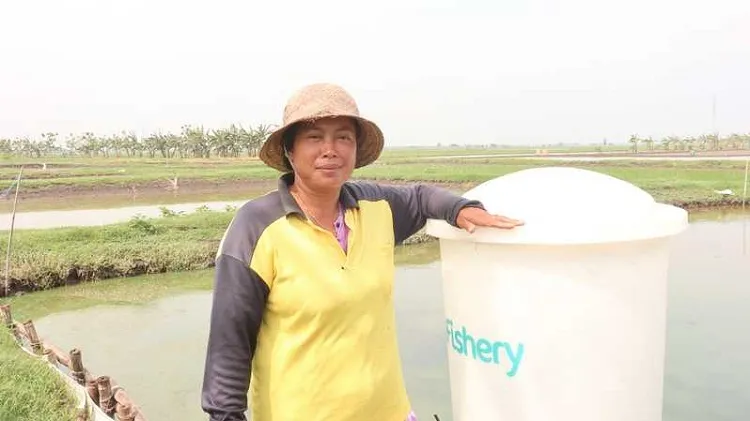 Raup Untung Miliaran Berkat Bantuan Teknologi eFishery