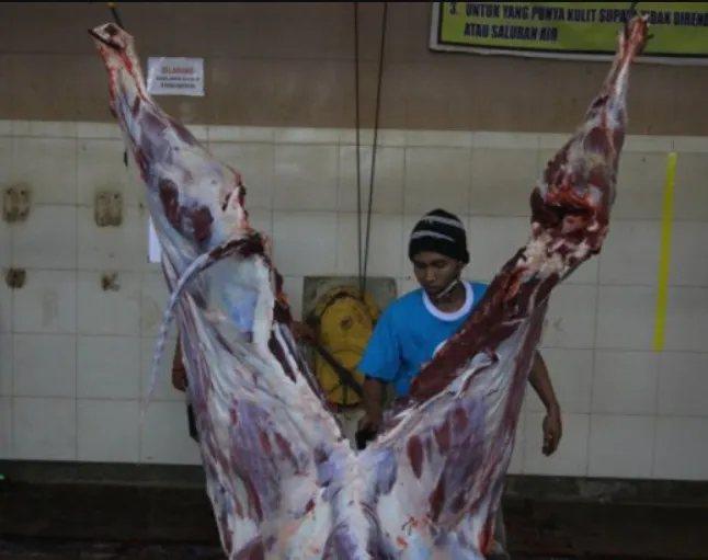 Sambut Idul Adha, PD RPH Siapkan 80 Orang Tukang Jagal