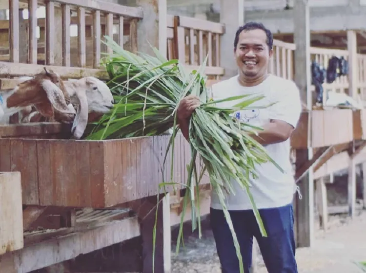 Resign dari Karyawan, Kini Jadi Juragan Kambing dan Domba