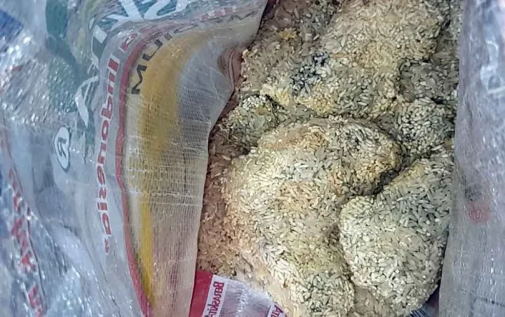 Beras Bansos di Sidoarjo Menggumpal, Berwarna Kuning dan Berbau