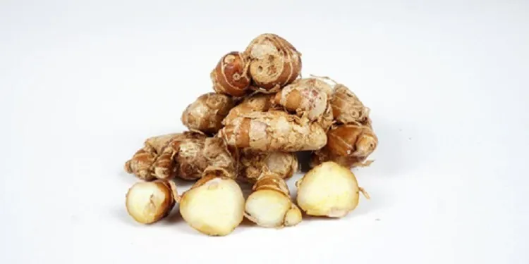 Herbal Kencur, Atasi Batuk PIlek dan Sariawan
