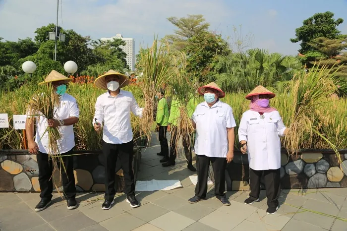 Pemkot Surabaya Manfaatkan 18 Lahan BTKD untuk Tanaman Pangan