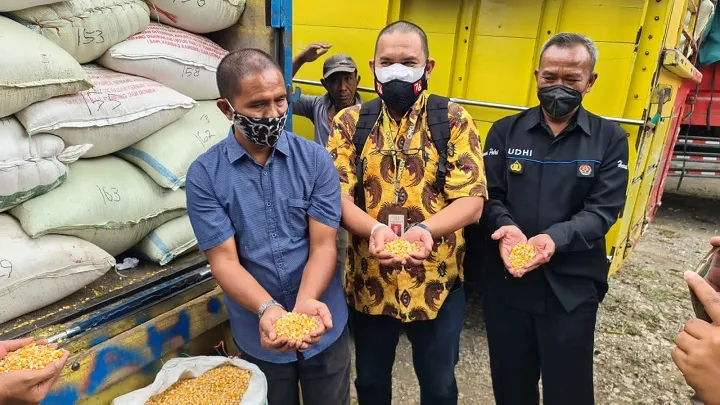 Presiden Jokowi Penuhi Janjinya, Peternak Ayam Petelur di Blitar Terima Bantuan 20 Ton Jagung Gratis