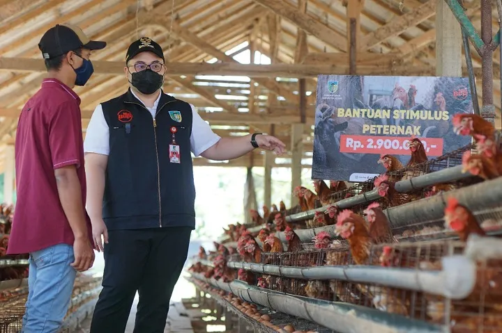Peternak Resah di Masa Pandemi, Pemkab Kediri Bagikan Stimulus