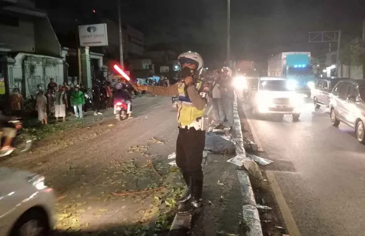 Tertimpa Pohon, Warga Sidoarjo Tewas