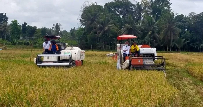 Panen Melimpah, Petani Sumringah