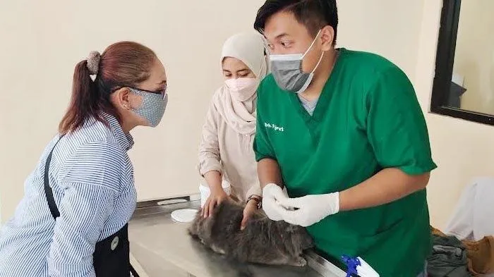 Disnakeswan Lamongan Gelar Vaksinasi Rabies Gratis
