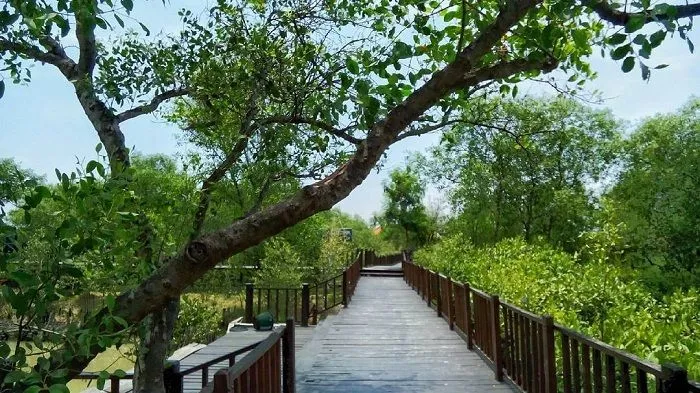 Wisata Tahura dan KRM di Surabaya Bakal Dibuka