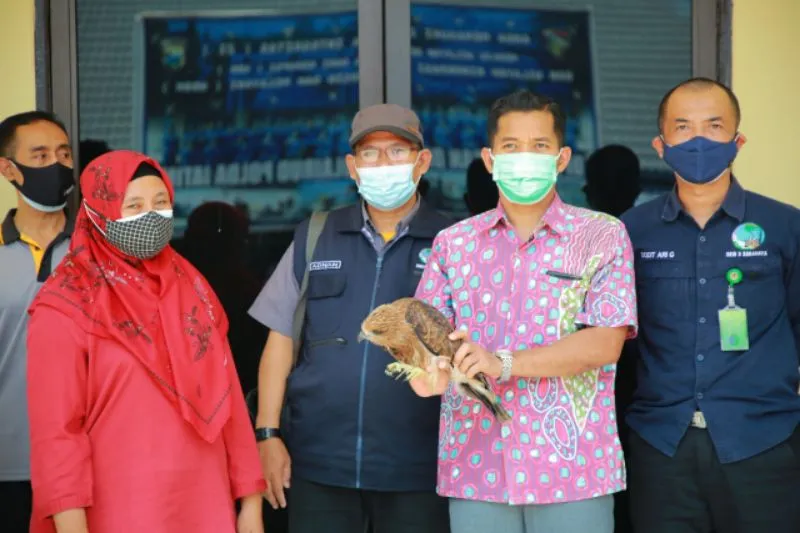 Ditpolairud Polda Jatim Ringkus Dua Pelaku Penyelundupan Satwa Dilindungi