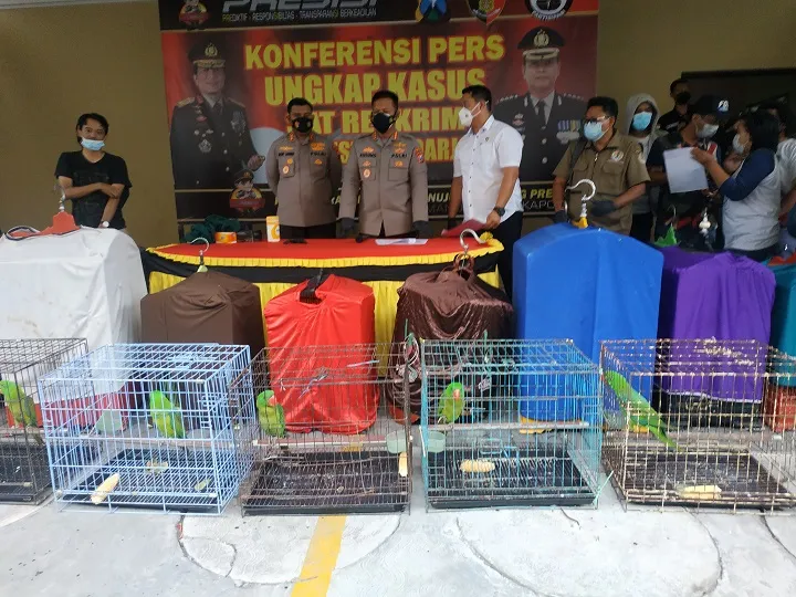 Polresta Sidoarjo Tangkap Pelaku Penjualan Burung Dilindungi dari Papua