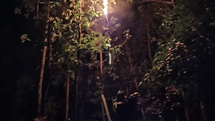 3 Sarang Tawon Ndas di Tempat Wisata Dievakuasi