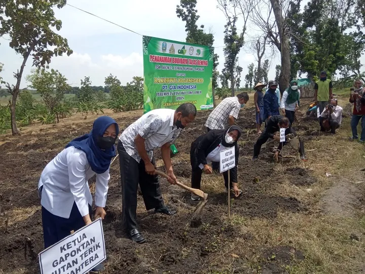 Sebagian Hutan di Lamongan Kini Mulai Ditanami Talas oleh Petani