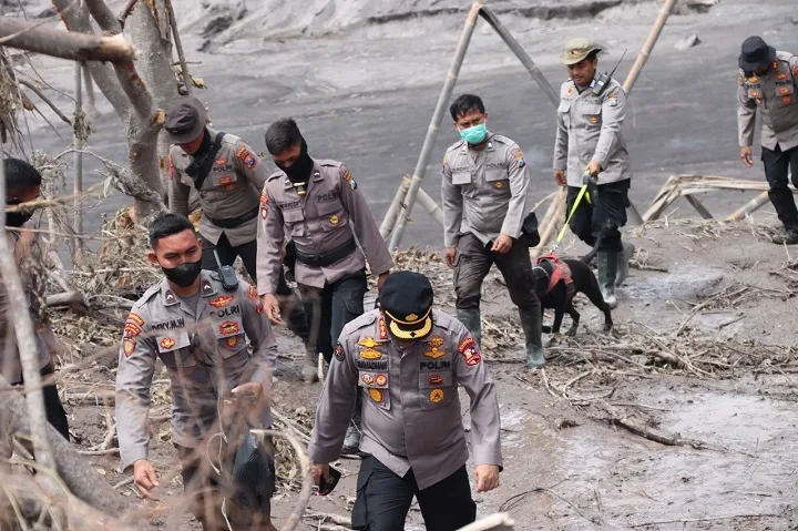 11 Anjing Pelacak dan 29 Personel K9 Dilibatkan cari Korban Erupsi Semeru