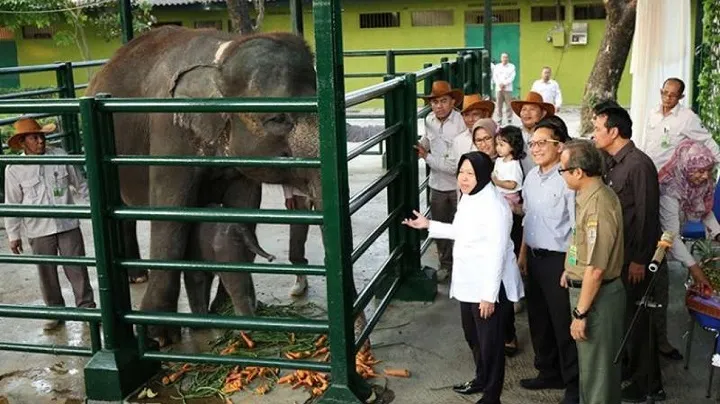 Dewan: Manajemen KBS Kacau