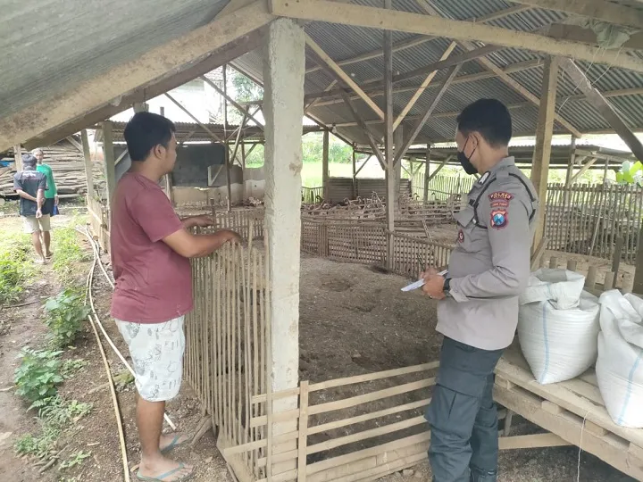 Ratusan Ekor Bebek Warga Blitar Hilang, Kerugian Capai Rp 28 Juta