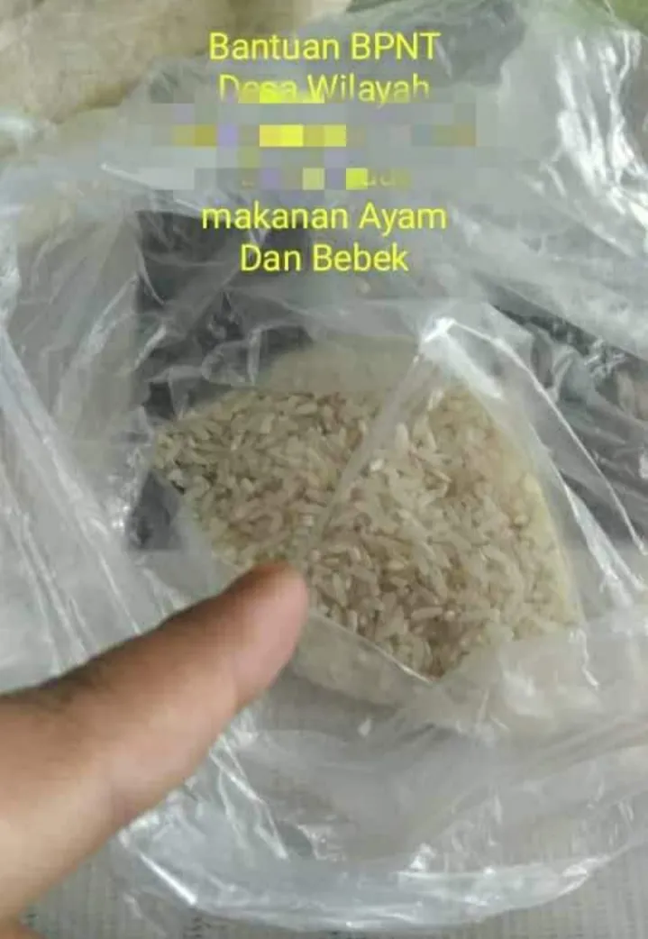 Beras BPNT Gresik Kembali Viral, Dianggap Makanan Ayam dan Bebek