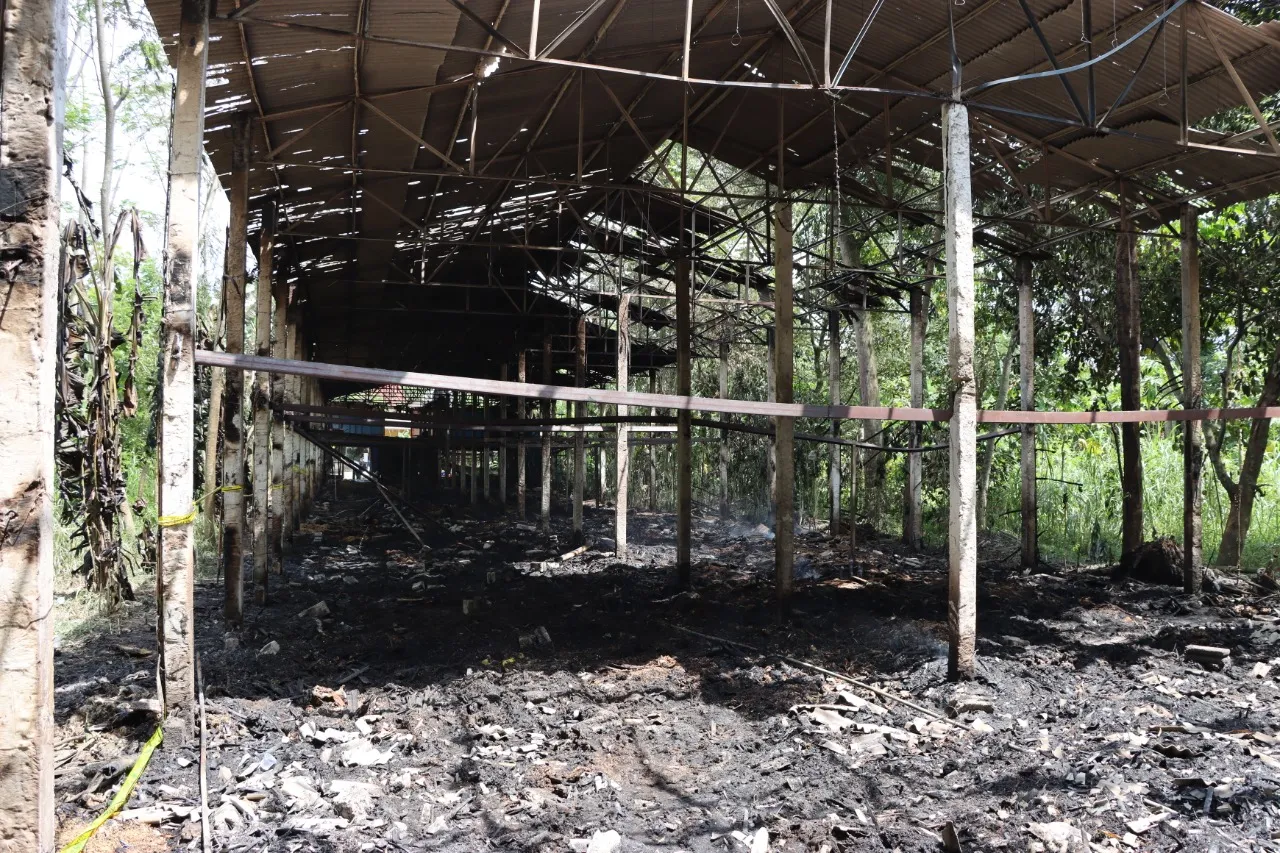 Kandang Ayam Ludes Terbakar, Peternak Rugi Ratusan Juta