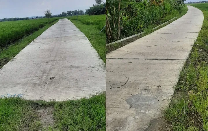 Proyek Jalan Usaha Tani Disperta Jombang Diduga Bermasalah
