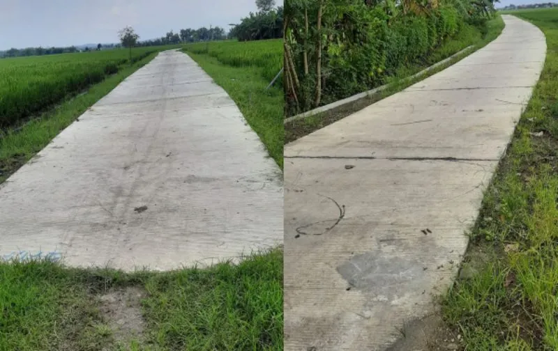 Proyek Siluman Jalan Usaha Tani, Disperta Jombang Akui Ada Kesalahan