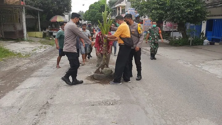 Jalan Rusak tak Kunjung Diperbaiki, Warga Tanam Pohon di Jalan Berlubang