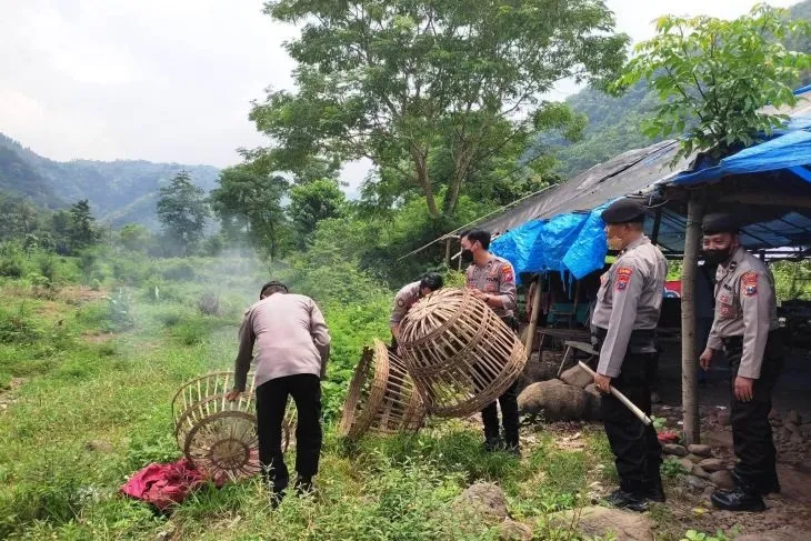 Arena Sabung Ayam di Situbondo Digerebek Polisi