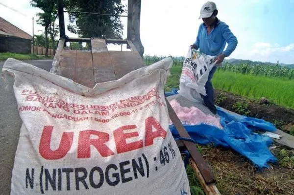Stok Pupuk Subsidi Cukup Hingga Juli